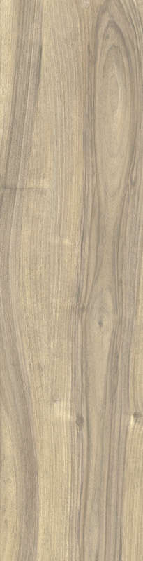 Carrelage pour sol/mur intérieur en grès cérame à masse colorée effet bois CASTELVETRO MORE Miele L. 120 x l. 20 cm x Ép. 10 mm - Rectifié