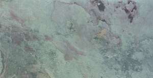 Revêtement mural en pierre naturelle - feuille de pierre TERFLEX-1110 L. 122 x l. 61 cm - Ép. 2 / 6 mm