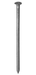 Pointe tête plate en acier BIGMAT Diam. 1,3 x L. 25 mm