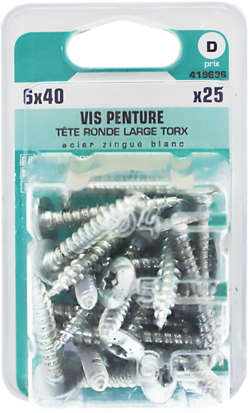 Vis penture tête ronde et large empreinte TORX en acier BIGMAT Diam. 6 x L. 40 mm - Boîte de 25 pièces