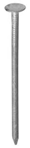 Pointe tête plate extra large en acier galvanisé Diam. 3 x L. 40 mm - Boîte de 2 kg