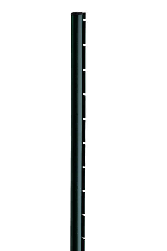 Poteau pour grillage rigide DIRICKX AXOR® en acier galvanisé avec plastification polyester avec fixation à encoches H. 2,40 m vert 6005