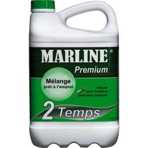 Carburant moteur Premium 2 temps | Contenance : 5 l