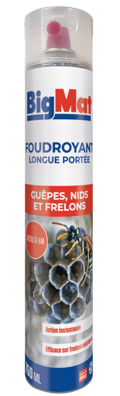 https://medias.bigmat.fr/data_medias/medias_finaux/images/3420900128067-vK6TmShL59-fiche.png