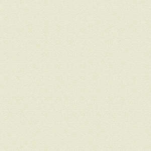 TABLETTE BLANCHE 2 CHANTS ABS SUR LA LONGUEUR 18 MM 2500X400