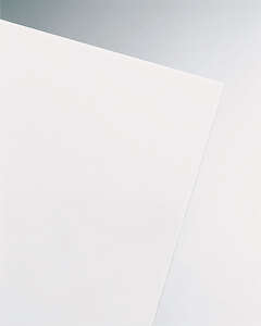 Plaque de verre synthétique lisse ONDUGLASS - blanc - L. 1 x l. 0,3 m x Ép. 3 mm