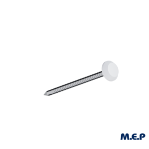 Clous inox 5 cm tête PVC (boîte de 100) - Blanc
