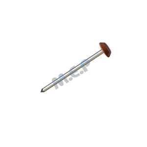 Clous inox 5 cm tête PVC (boîte de 100) - Acajou