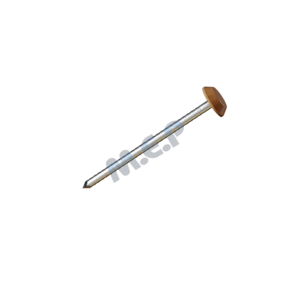 Clous inox 5 cm tête PVC (boîte de 100) - Chêne