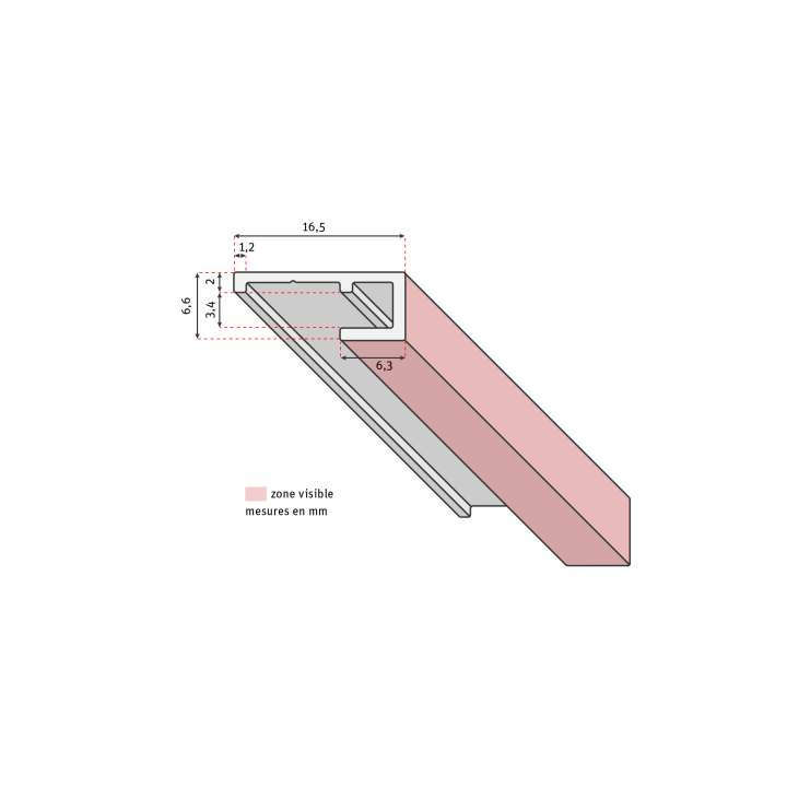 Profilé de finition extérieure ROTH pour panneaux VIPANEL H. 2,55 m - Argent mat