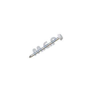 Clous inox 4 cm tête PVC (boîte de 250) - Blanc