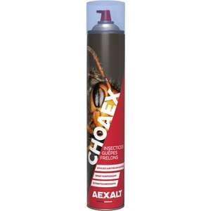 Anti-frelons Choaex - Aérosol 1000 ml