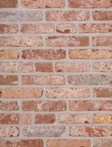 Plaquette de brique teinte rouge vielli  Belle époque de Mons L. 215 x H. 65  x épai. 22 mm