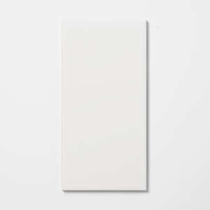 Carrelage pour mur intérieur en faïence - Blanc aspect mat L. 40 x l. 20 cm x Ép. 6,8 mm