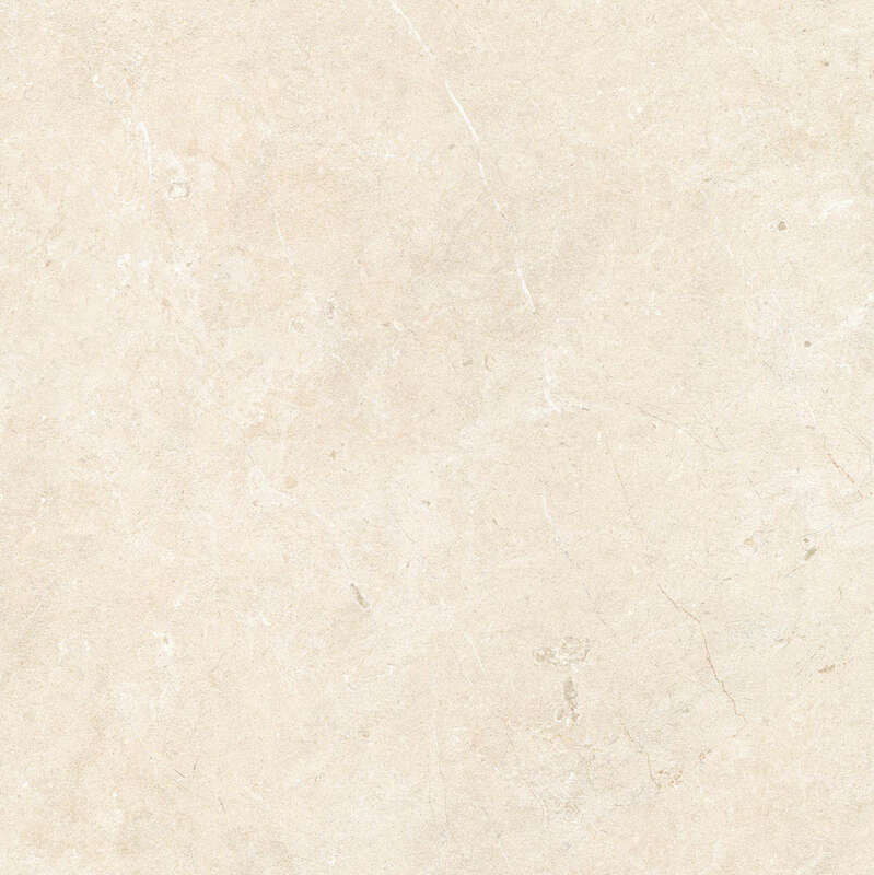 Carrelage pour sol/mur intérieur en grès cérame à masse colorée effet ...