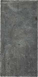Carrelage sol intérieur en grès cérame à masse colorée effet pierre RICCHETTI HERITAGE Noir L. 100 x l. 50 cm x ep. 9,5 mm