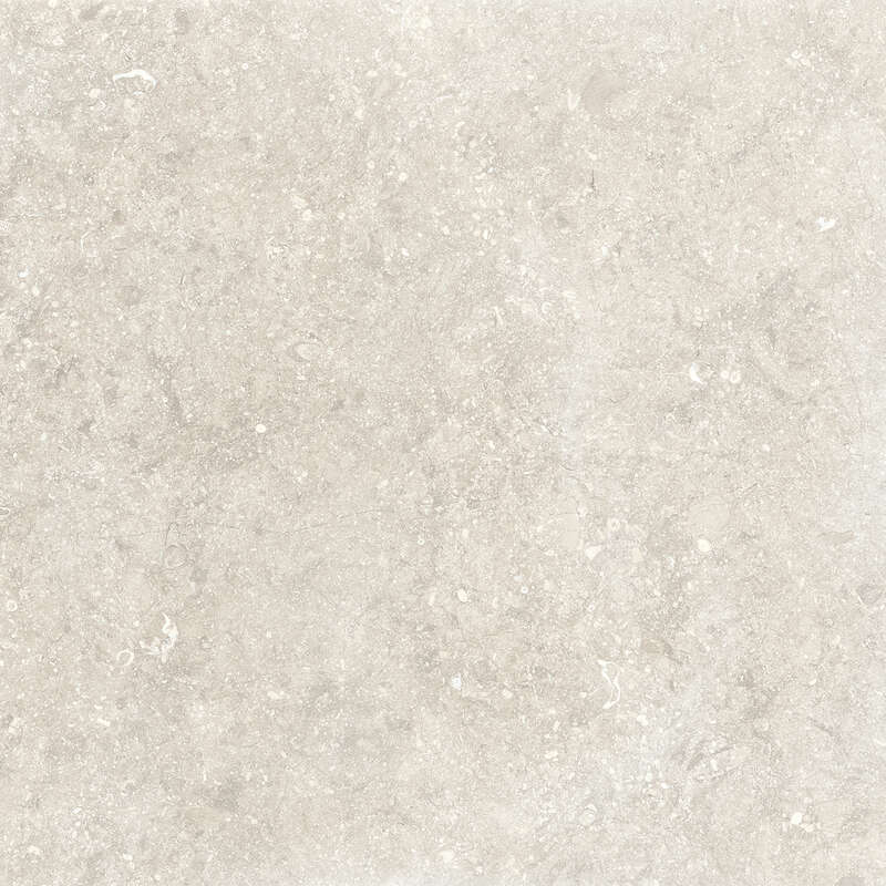 Carrelage pour sol/mur intérieur en grès cérame à masse colorée effet pierre ASCOT RUE DE ST CLOUD Blanc L. 60 x l. 60 cm x Ép. 10 mm