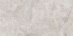 Carrelage pour sol/mur intérieur en grès cérame à masse colorée effet pierre ASCOT STONE VALLEY Sale L. 59,5 x l. 29,6 cm x Ép. 10 mm - Rectifié