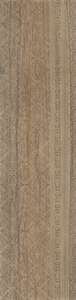Carrelage pour sol/mur intérieur en grès cérame à masse colorée effet bois CASTELVETRO RUSTIC Taupe L. 120 x l. 30 cm x Ép. 10 mm - Rectifié