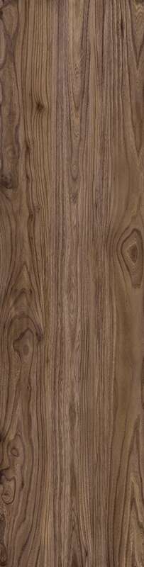 Carrelage pour sol/mur intérieur en grès cérame à masse colorée effet bois CASTELVETRO RUSTIC Nut L. 120 x l. 30 cm x Ép. 10 mm - Rectifié
