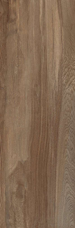 Carrelage pour sol/mur intérieur en grès cérame à masse colorée effet bois CASTELVETRO AEQUA Castor L. 80 x l. 20 cm x Ép. 10 mm - Rectifié