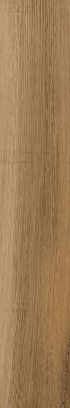 Carrelage pour sol/mur intérieur en grès cérame à masse colorée effet bois CASTELVETRO AEQUA Castor L. 80 x l. 13,3 cm x Ép. 10 mm - Rectifié