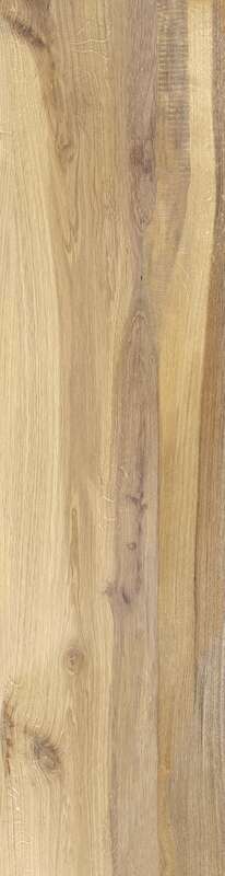 Carrelage pour sol/mur intérieur en grès cérame à masse colorée effet bois CASTELVETRO AEQUA Silva L. 120 x l. 30 cm x Ép. 10 mm - Rectifié