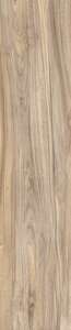 Carrelage pour sol/mur intérieur en grès cérame à masse colorée effet bois CASTELVETRO WOODLAND Elm L. 120 x l. 20 cm x Ép. 10 mm - Rectifié