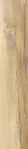 Carrelage pour sol/mur intérieur en grès cérame à masse colorée effet bois CASTELVETRO AEQUA Silva L. 120 x l. 20 cm x Ép. 10 mm - Rectifié