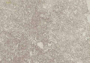 Carrelage pour sol extérieur en grès cérame à masse colorée 20 mm effet pierre CASTELVETRO ALWAYS OUTFIT 2.0 Grigio L. 80 x l. 80 cm x Ép. 20 mm - Rectifié - R11/C