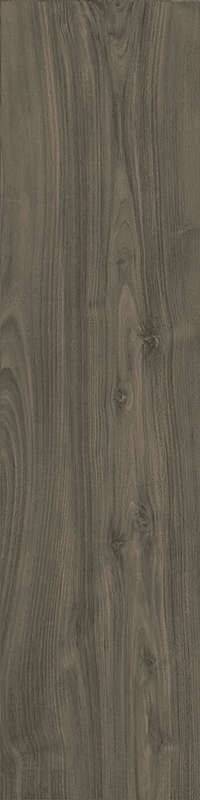 Carrelage pour sol extérieur en grès cérame à masse colorée 20 mm effet bois CASTELVETRO MORE OUTFIT 2.0 Oliva L. 120 x l. 40 cm x Ép. 20 mm - Rectifié - R11/C