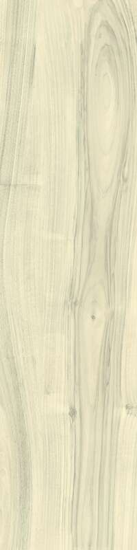 Carrelage pour sol/mur intérieur en grès cérame à masse colorée effet bois CASTELVETRO MORE Bianco L. 120 x l. 30 cm x Ép. 10 mm - Rectifié