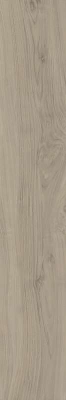 Carrelage pour sol/mur intérieur en grès cérame à masse colorée effet bois CASTELVETRO MORE Grigio L. 120 x l. 20 cm x Ép. 10 mm - Rectifié