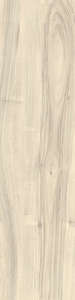 Carrelage pour sol/mur intérieur en grès cérame à masse colorée effet bois CASTELVETRO MORE Bianco L. 80 x l. 20 cm x Ép. 10 mm - Rectifié