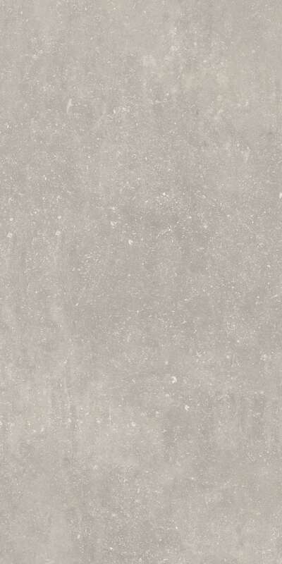 Carrelage pour sol/mur intérieur en grès cérame à masse colorée effet pierre CASTELVETRO ABSOLUTE Grigio L. 120 x l. 60 cm x Ép. 10 mm - Rectifié