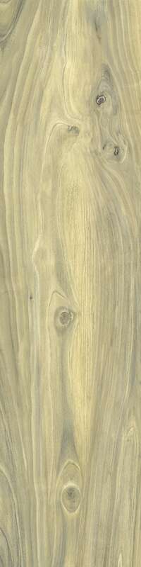 Carrelage pour sol/mur intérieur en grès cérame à masse colorée effet bois CASTELVETRO MORE Miele L. 120 x l. 30 cm x Ép. 10 mm - Rectifié