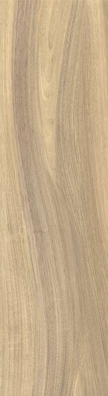 Carrelage pour sol/mur intérieur en grès cérame à masse colorée effet bois CASTELVETRO MORE Miele L. 80 x l. 20 cm x Ép. 10 mm - Rectifié