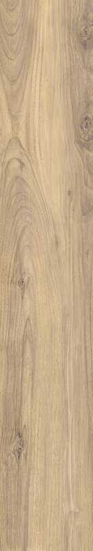 Carrelage pour sol/mur intérieur en grès cérame à masse colorée effet bois CASTELVETRO MORE Miele L. 120 x l. 20 cm x Ép. 10 mm - Rectifié