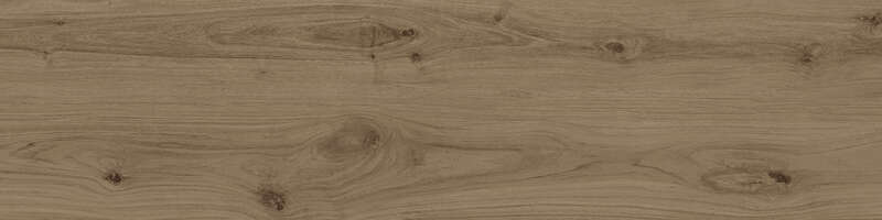 Carrelage pour sol/mur intérieur en grès cérame à masse colorée effet bois CASTELVETRO ALPI Castagno L. 120 x l. 30 cm x Ép. 9,5 mm - Rectifié
