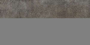 Carrelage pour sol/mur intérieur en grès cérame à masse colorée effet pierre PANARIA PIERRE DES RÊVES Charme L. 120 x l. 60 cm x Ép. 9,5 mm - Rectifié