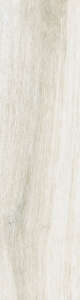 Carrelage pour sol/mur intérieur en grès cérame émaillé effet bois PAMESA BOSQUE Cenere L. 85 x l. 22 cm x Ép. 10 mm