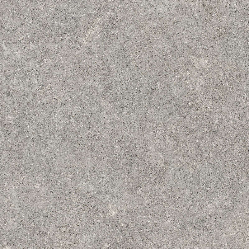 Carrelage pour sol/mur intérieur en grès cérame à masse colorée effet pierre ROCERSA DOVER Smoke L. 60 x l. 60 cm x Ép. 10 mm - Rectifié