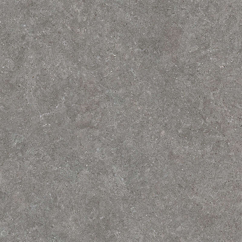 Carrelage pour sol/mur intérieur en grès cérame à masse colorée effet pierre ROCERSA DOVER Grey L. 60 x l. 60 cm x Ép. 10 mm - Rectifié
