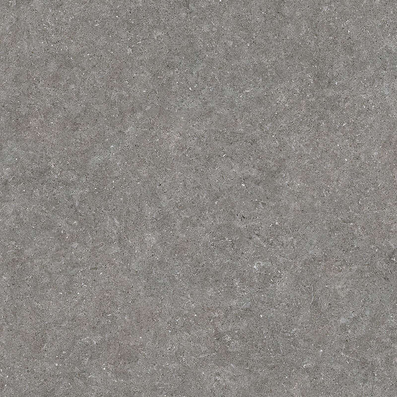 Carrelage pour sol/mur intérieur en grès cérame à masse colorée effet pierre ROCERSA DOVER Grey L. 60 x l. 60 cm x Ép. 10 mm - Rectifié