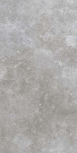 Carrelage pour sol/mur intérieur en grès cérame à masse colorée effet pierre ROCERSA ETERNAL STONE Grey L. 120 x l. 60 cm x Ép. 10 mm - Rectifié