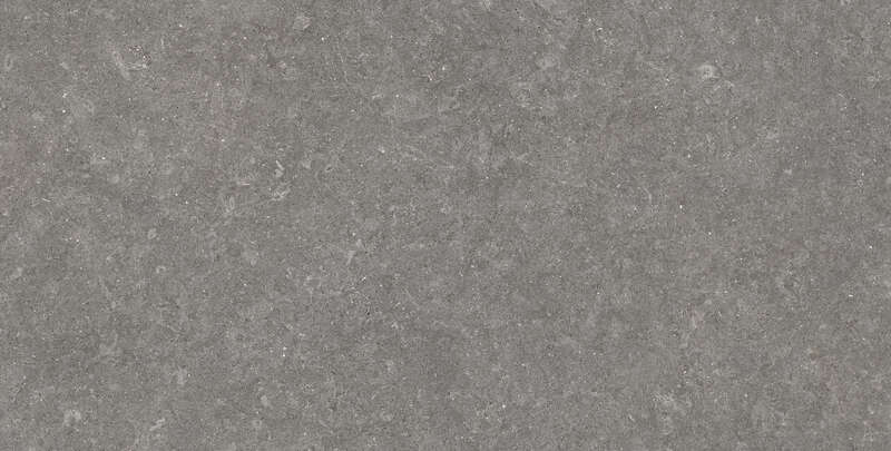 Carrelage pour sol/mur intérieur en grès cérame à masse colorée effet pierre ROCERSA DOVER Grey L. 120 x l. 60 cm x Ép. 10 mm - Rectifié