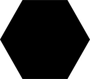 Carrelage pour sol/mur intérieur en grès cérame émaillé DUNE HEXALINE Black L. 25 x l. 21,5 cm x Ep. 9 mm